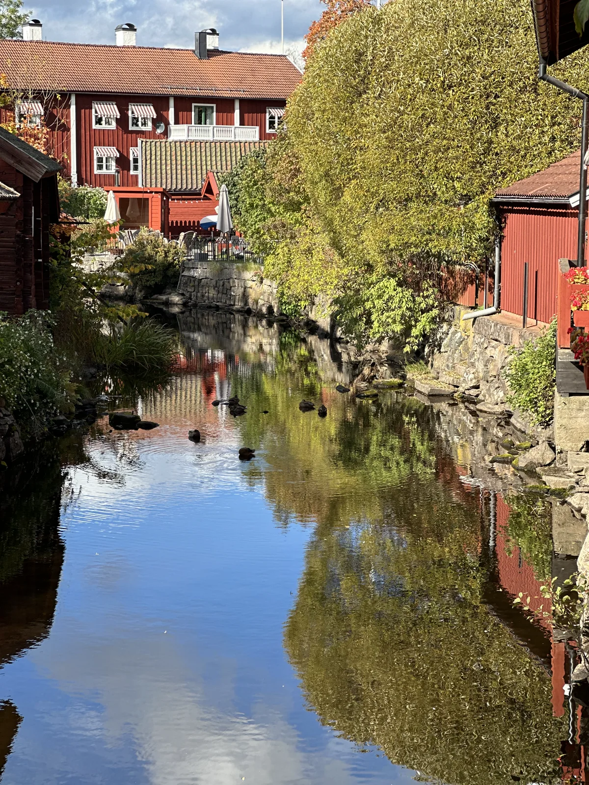 Aktiviteter — sjö i Bergslagen höst